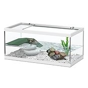 Рейтинг лучших террариумов