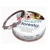 Рейтинг лучших ошейников от блох