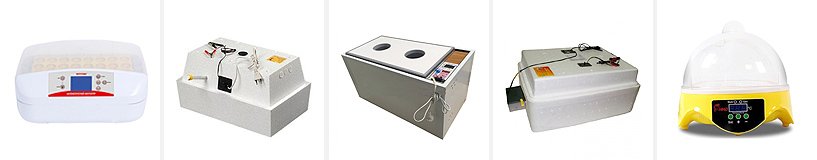 Рейтинг лучших инкубаторов