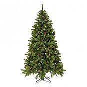 Рейтинг лучших новогодних елей